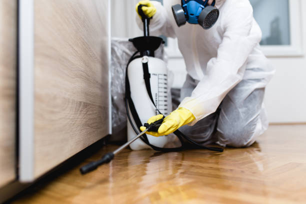 Reliable Beachwood, OH Pest Control Solutions