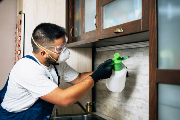 Wildlife Control Services in Beachwood, OH