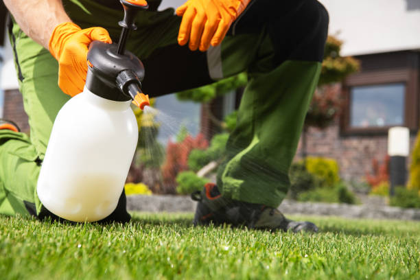 Best Pest Removal Services  in Beachwood, OH