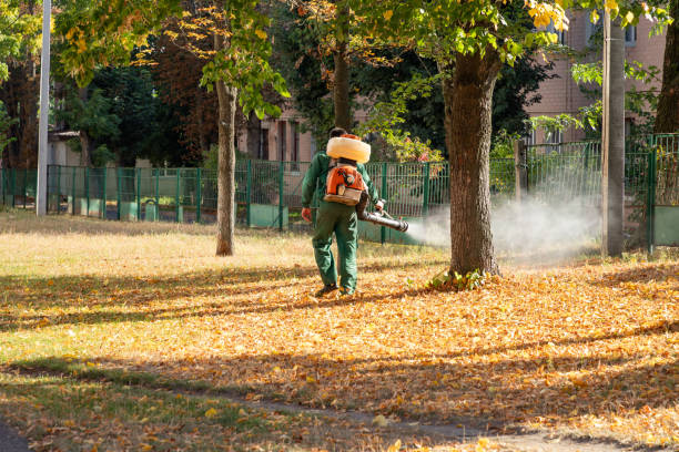 Best Commercial Pest Control Services  in Beachwood, OH